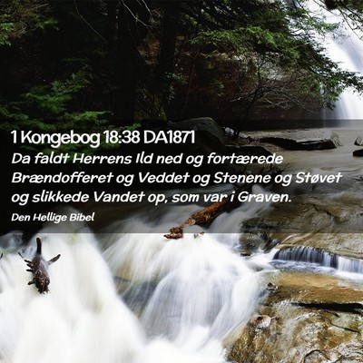 Picture 02 - 1 Kongebog 18:38 DA1871 - Da faldt Herrens Ild ned og fortærede - Bible Verse Picture