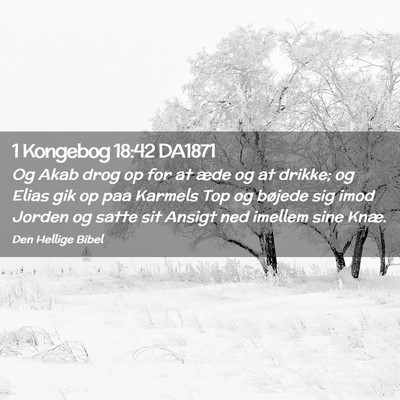 Picture 02 - 1 Kongebog 18:42 DA1871 - Og Akab drog op for at æde og at drikke; og - Bible Verse Picture