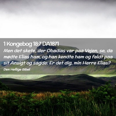Picture 02 - 1 Kongebog 18:7 DA1871 - Men det skete, der Obadias var paa Vejen, se, da - Bible Verse Picture