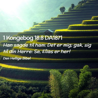 Picture 02 - 1 Kongebog 18:8 DA1871 - Han sagde til ham: Det er mig; gak, sig til din - Bible Verse Picture