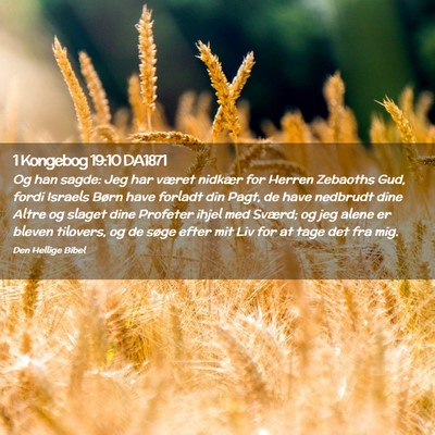 Picture 02 - 1 Kongebog 19:10 DA1871 - Og han sagde: Jeg har været nidkær for Herren - Bible Verse Picture