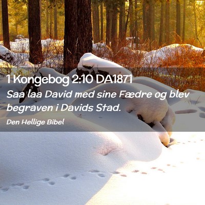 Picture 02 - 1 Kongebog 2:10 DA1871 - Saa laa David med sine Fædre og blev begraven i - Bible Verse Picture