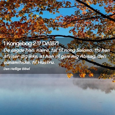 Picture 02 - 1 Kongebog 2:17 DA1871 - Da sagde han: Kære, tal til Kong Salomo, thi han - Bible Verse Picture