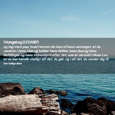 Picture 02 - 1 Kongebog 2:3 DA1871 - og tag Vare paa, hvad Herren din Gud vil have - Bible Verse Picture