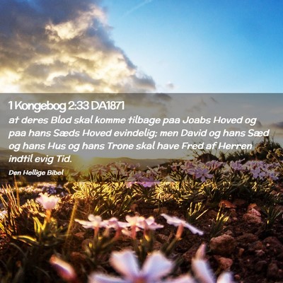 Picture 02 - 1 Kongebog 2:33 DA1871 - at deres Blod skal komme tilbage paa Joabs Hoved - Bible Verse Picture