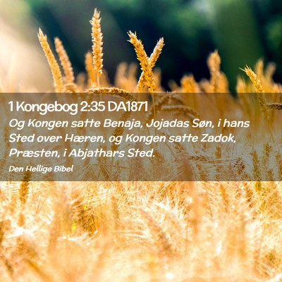Picture 02 - 1 Kongebog 2:35 DA1871 - Og Kongen satte Benaja, Jojadas Søn, i hans Sted - Bible Verse Picture