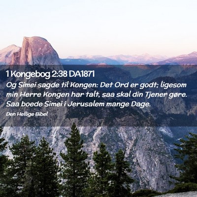 Picture 02 - 1 Kongebog 2:38 DA1871 - Og Simei sagde til Kongen: Det Ord er godt; - Bible Verse Picture