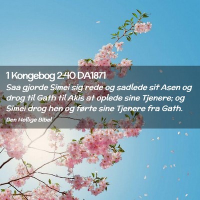 Picture 02 - 1 Kongebog 2:40 DA1871 - Saa gjorde Simei sig rede og sadlede sit Asen og - Bible Verse Picture