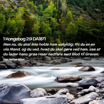 Picture 02 - 1 Kongebog 2:9 DA1871 - Men nu, du skal ikke holde ham uskyldig; thi du - Bible Verse Picture