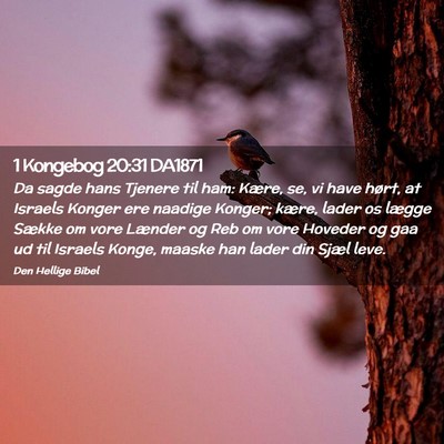 Picture 02 - 1 Kongebog 20:31 DA1871 - Da sagde hans Tjenere til ham: Kære, se, vi have - Bible Verse Picture
