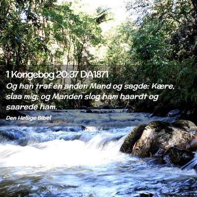 Picture 02 - 1 Kongebog 20:37 DA1871 - Og han traf en anden Mand og sagde: Kære, slaa - Bible Verse Picture
