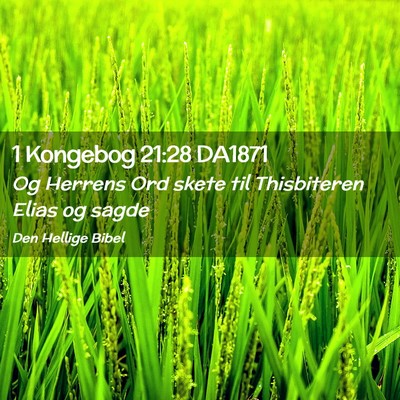 Picture 02 - 1 Kongebog 21:28 DA1871 - Og Herrens Ord skete til Thisbiteren Elias og - Bible Verse Picture