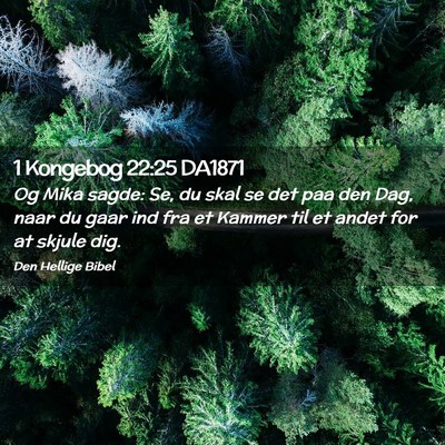 Picture 02 - 1 Kongebog 22:25 DA1871 - Og Mika sagde: Se, du skal se det paa den Dag, - Bible Verse Picture