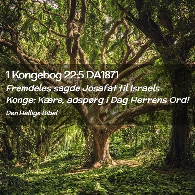 Picture 02 - 1 Kongebog 22:5 DA1871 - Fremdeles sagde Josafat til Israels Konge: Kære, - Bible Verse Picture
