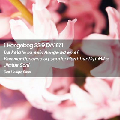 Picture 02 - 1 Kongebog 22:9 DA1871 - Da kaldte Israels Konge ad en af Kammertjenerne - Bible Verse Picture