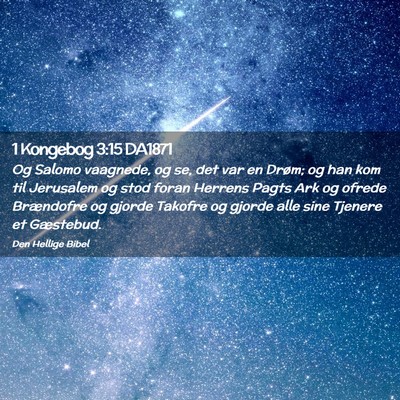 Picture 02 - 1 Kongebog 3:15 DA1871 - Og Salomo vaagnede, og se, det var en Drøm; og - Bible Verse Picture