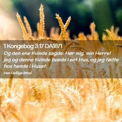 Picture 02 - 1 Kongebog 3:17 DA1871 - Og den ene Kvinde sagde: Hør mig, min Herre! jeg - Bible Verse Picture