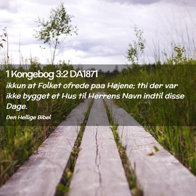 Picture 02 - 1 Kongebog 3:2 DA1871 - ikkun at Folket ofrede paa Højene; thi der var - Bible Verse Picture