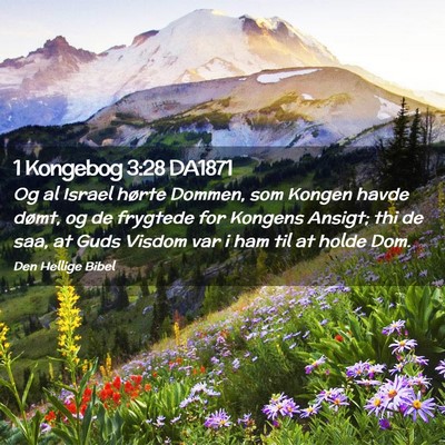 Picture 02 - 1 Kongebog 3:28 DA1871 - Og al Israel hørte Dommen, som Kongen havde - Bible Verse Picture
