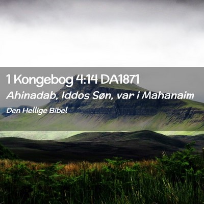 Picture 02 - 1 Kongebog 4:14 DA1871 - Ahinadab, Iddos Søn, var i - Bible Verse Picture
