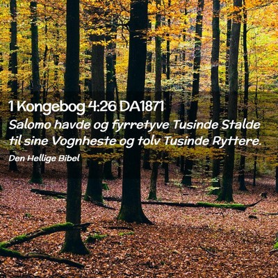 Picture 02 - 1 Kongebog 4:26 DA1871 - Salomo havde og fyrretyve Tusinde Stalde til sine - Bible Verse Picture