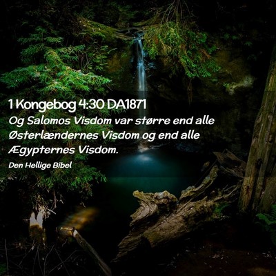 Picture 02 - 1 Kongebog 4:30 DA1871 - Og Salomos Visdom var større end alle - Bible Verse Picture