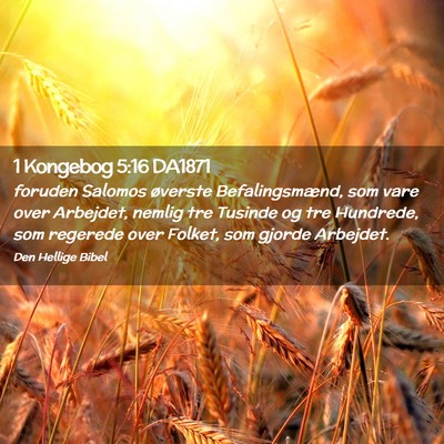 Picture 02 - 1 Kongebog 5:16 DA1871 - foruden Salomos øverste Befalingsmænd, som vare - Bible Verse Picture