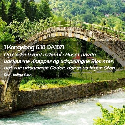 Picture 02 - 1 Kongebog 6:18 DA1871 - Og Cedertræet indentil i Huset havde udskaarne - Bible Verse Picture
