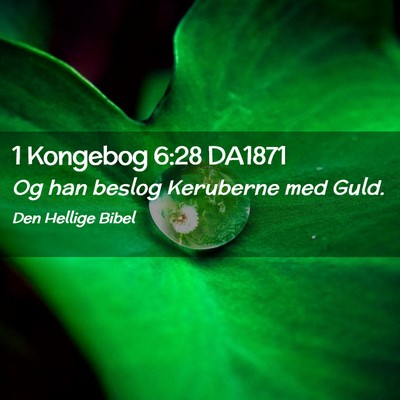 Picture 02 - 1 Kongebog 6:28 DA1871 - Og han beslog Keruberne med - Bible Verse Picture