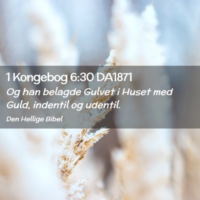 Picture 02 - 1 Kongebog 6:30 DA1871 - Og han belagde Gulvet i Huset med Guld, indentil - Bible Verse Picture