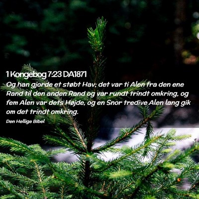 Picture 02 - 1 Kongebog 7:23 DA1871 - Og han gjorde et støbt Hav; det var ti Alen fra - Bible Verse Picture