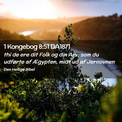 Picture 02 - 1 Kongebog 8:51 DA1871 - thi de ere dit Folk og din Arv, som du udførte - Bible Verse Picture