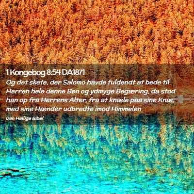 Picture 02 - 1 Kongebog 8:54 DA1871 - Og det skete, der Salomo havde fuldendt at bede - Bible Verse Picture