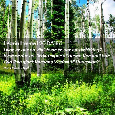 Picture 02 - 1 Korintherne 1:20 DA1871 - Hvor er der en viis? hvor er der en skriftklog? - Bible Verse Picture