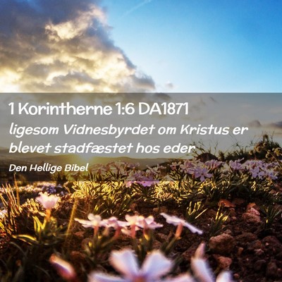 Picture 02 - 1 Korintherne 1:6 DA1871 - ligesom Vidnesbyrdet om Kristus er blevet - Bible Verse Picture
