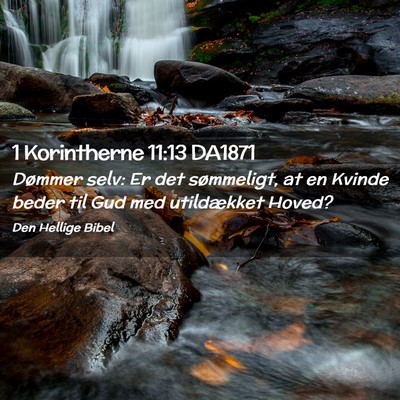Picture 02 - 1 Korintherne 11:13 DA1871 - Dømmer selv: Er det sømmeligt, at en Kvinde - Bible Verse Picture