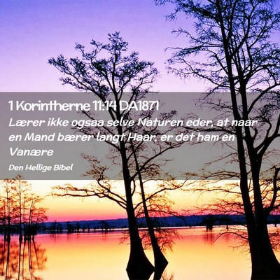 Picture 02 - 1 Korintherne 11:14 DA1871 - Lærer ikke ogsaa selve Naturen eder, at naar en - Bible Verse Picture