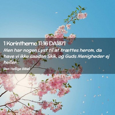 Picture 02 - 1 Korintherne 11:16 DA1871 - Men har nogen Lyst til at trættes herom, da have - Bible Verse Picture