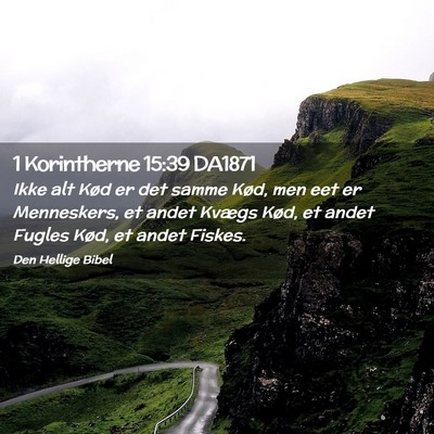 Picture 02 - 1 Korintherne 15:39 DA1871 - Ikke alt Kød er det samme Kød, men eet er - Bible Verse Picture