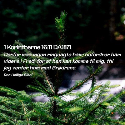 Picture 02 - 1 Korintherne 16:11 DA1871 - Derfor maa ingen ringeagte ham; befordrer ham - Bible Verse Picture