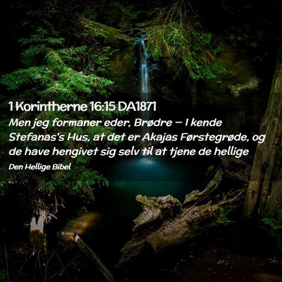 Picture 02 - 1 Korintherne 16:15 DA1871 - Men jeg formaner eder, Brødre — I kende - Bible Verse Picture