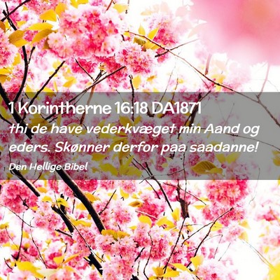 Picture 02 - 1 Korintherne 16:18 DA1871 - thi de have vederkvæget min Aand og eders. - Bible Verse Picture