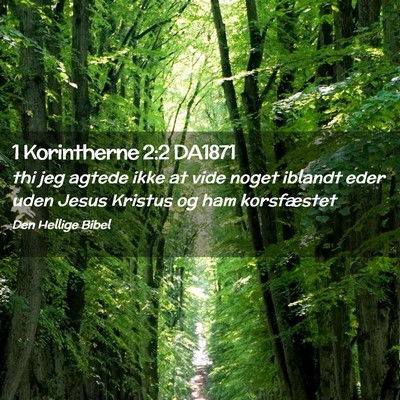Picture 02 - 1 Korintherne 2:2 DA1871 - thi jeg agtede ikke at vide noget iblandt eder - Bible Verse Picture