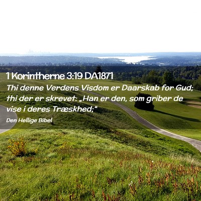 Picture 02 - 1 Korintherne 3:19 DA1871 - Thi denne Verdens Visdom er Daarskab for Gud; thi - Bible Verse Picture