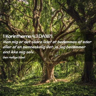 Picture 02 - 1 Korintherne 4:3 DA1871 - Men mig er det saare lidet at bedømmes af eder - Bible Verse Picture