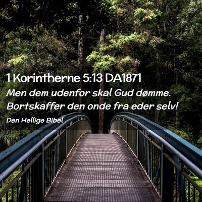 Picture 02 - 1 Korintherne 5:13 DA1871 - Men dem udenfor skal Gud dømme. Bortskaffer den - Bible Verse Picture