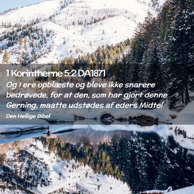 Picture 02 - 1 Korintherne 5:2 DA1871 - Og I ere opblæste og bleve ikke snarere - Bible Verse Picture
