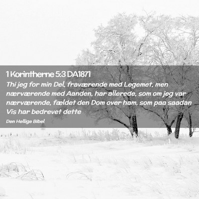 Picture 02 - 1 Korintherne 5:3 DA1871 - Thi jeg for min Del, fraværende med Legemet, men - Bible Verse Picture