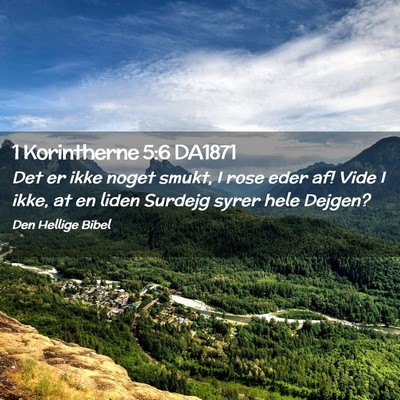 Picture 02 - 1 Korintherne 5:6 DA1871 - Det er ikke noget smukt, I rose eder af! Vide I - Bible Verse Picture