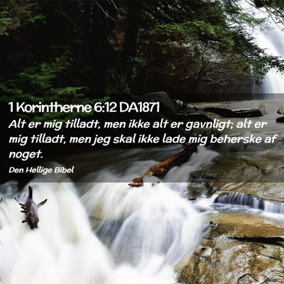 Picture 02 - 1 Korintherne 6:12 DA1871 - Alt er mig tilladt, men ikke alt er gavnligt; alt - Bible Verse Picture